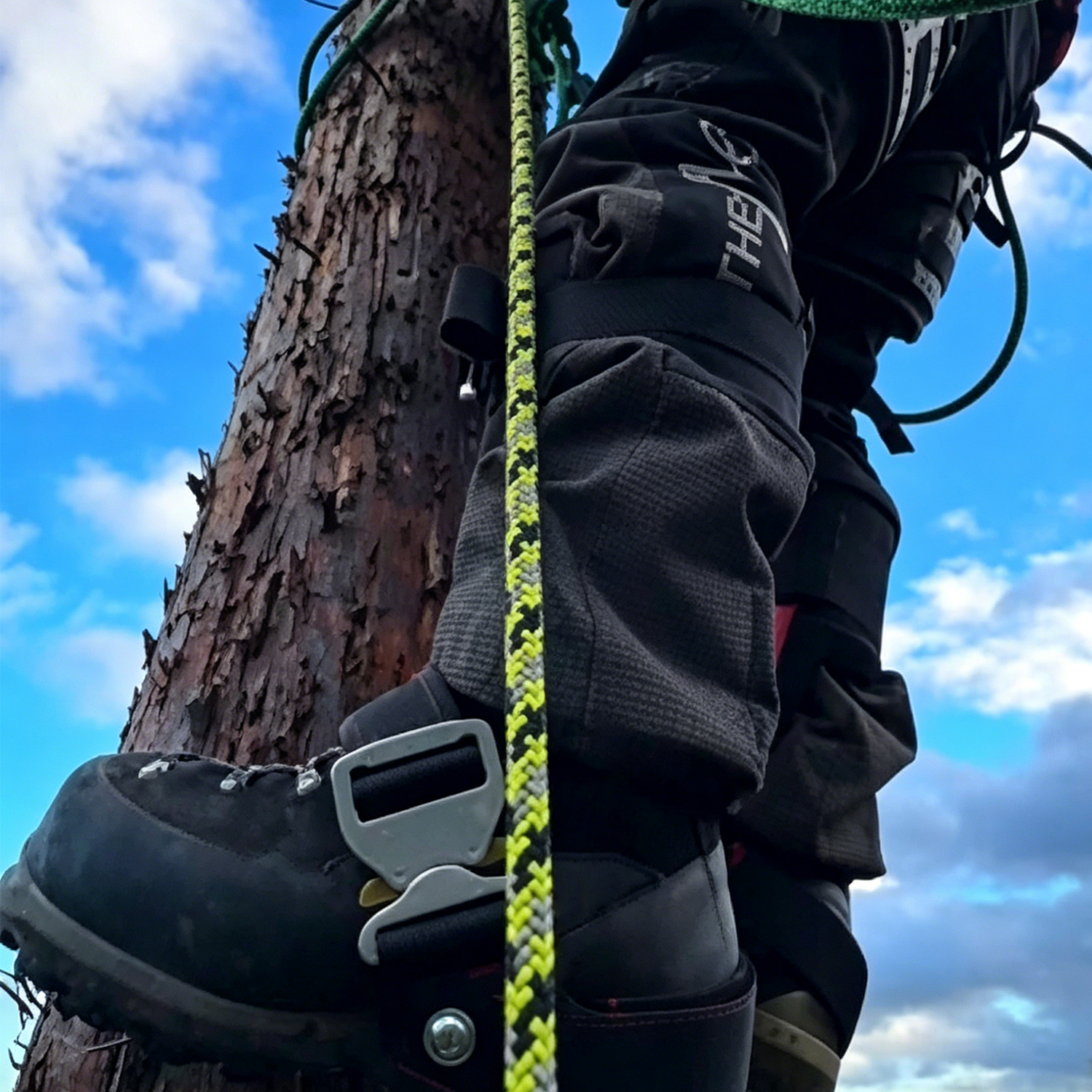Aluminum tree climbing device with straps
