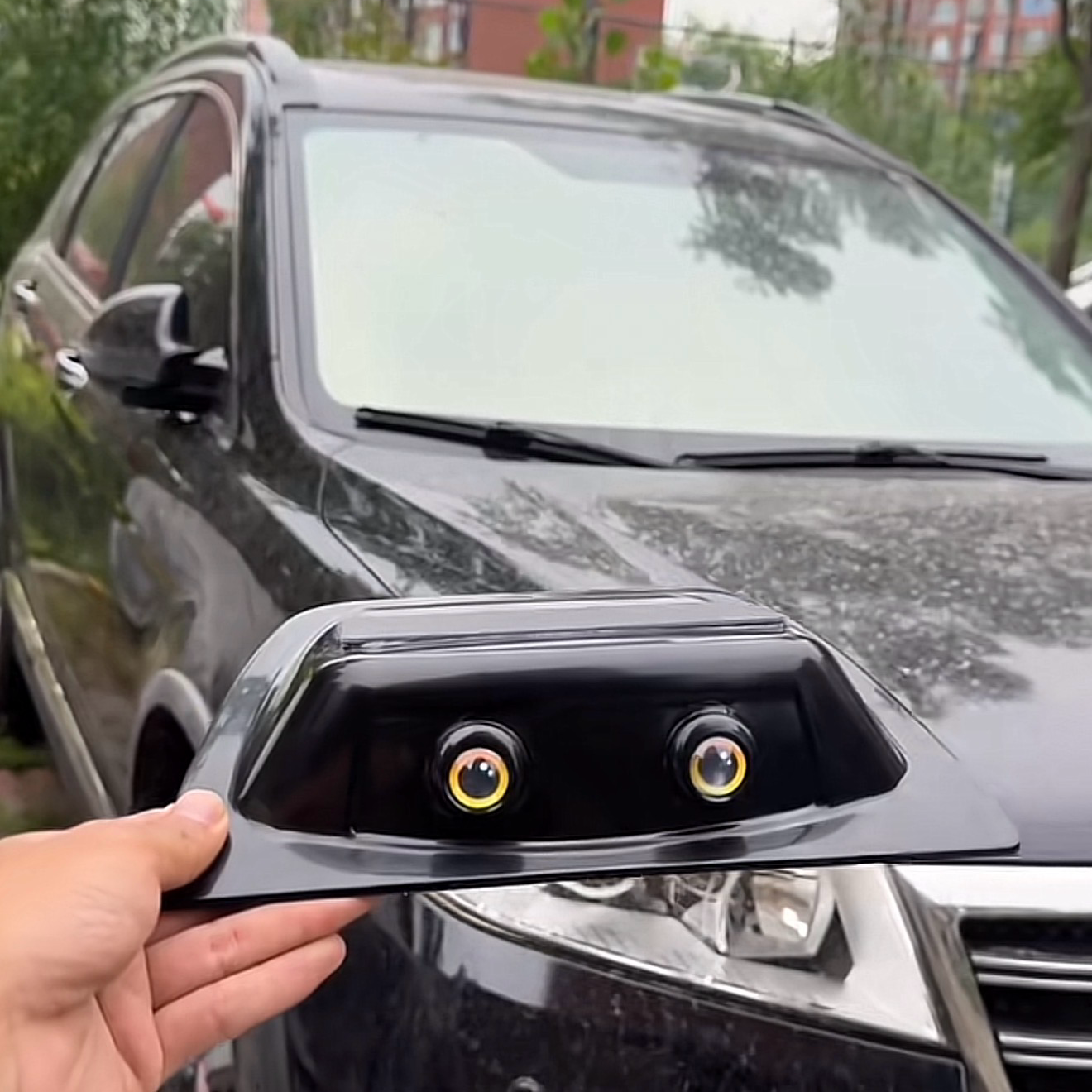 Funny Car Eye Rain Guard Decorations