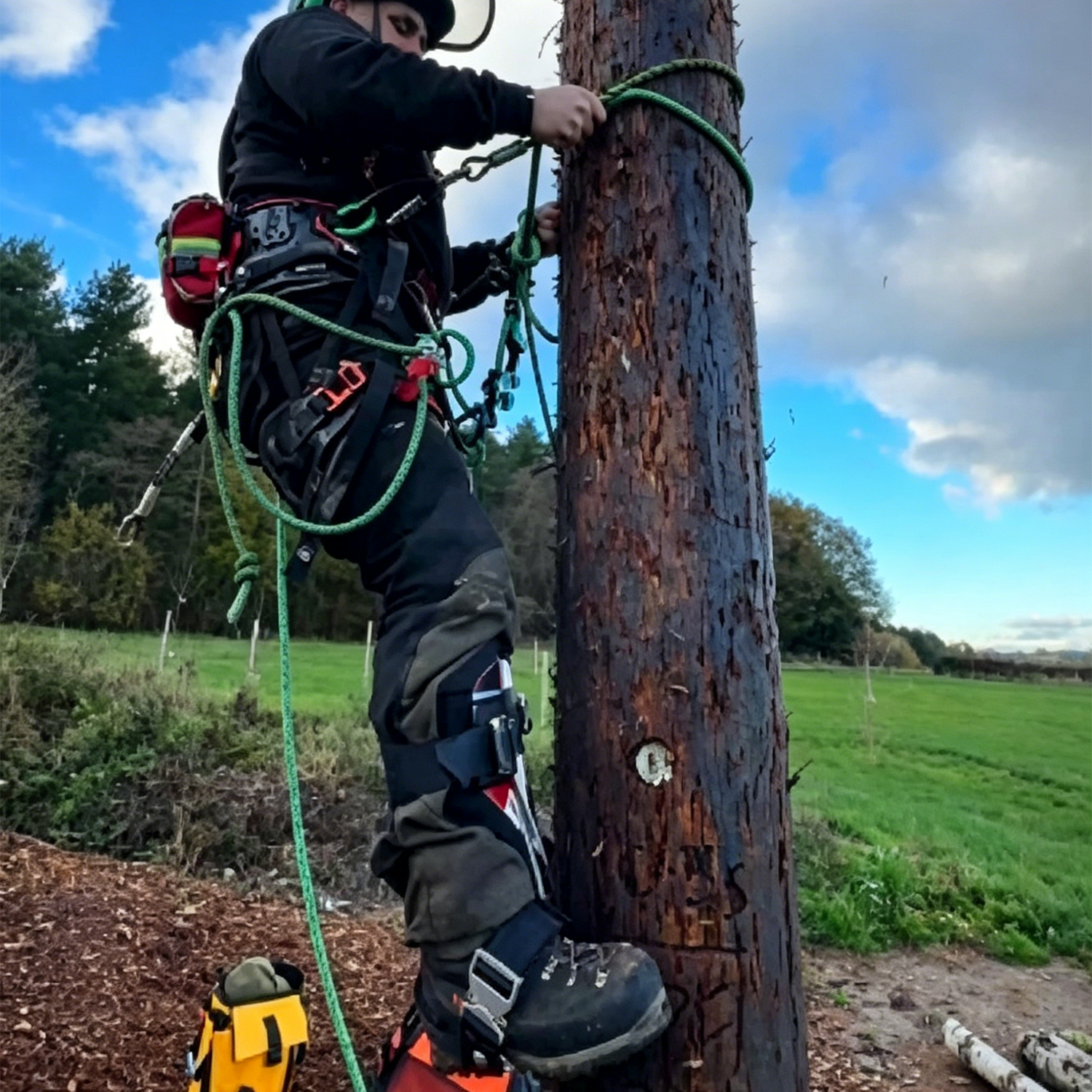 Aluminum tree climbing device with straps