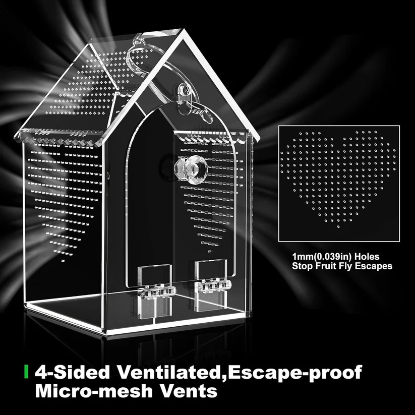 Seamless acrylic jumping spider enclosure