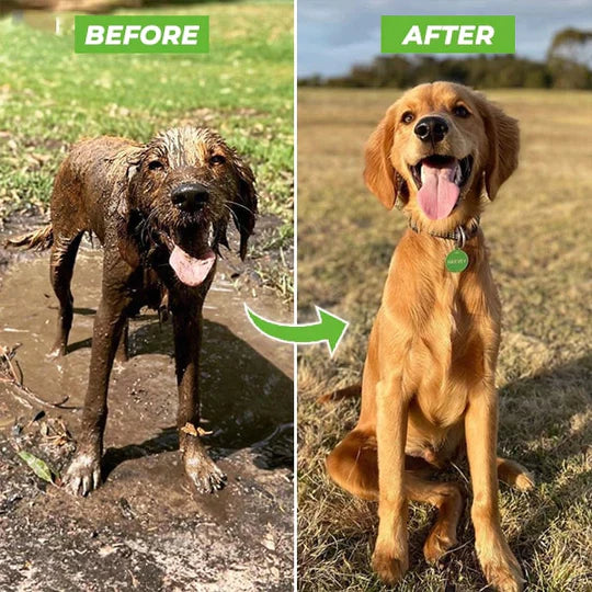 Garden Hose Spray Gun – Fastest Way to Bathe Your Dog