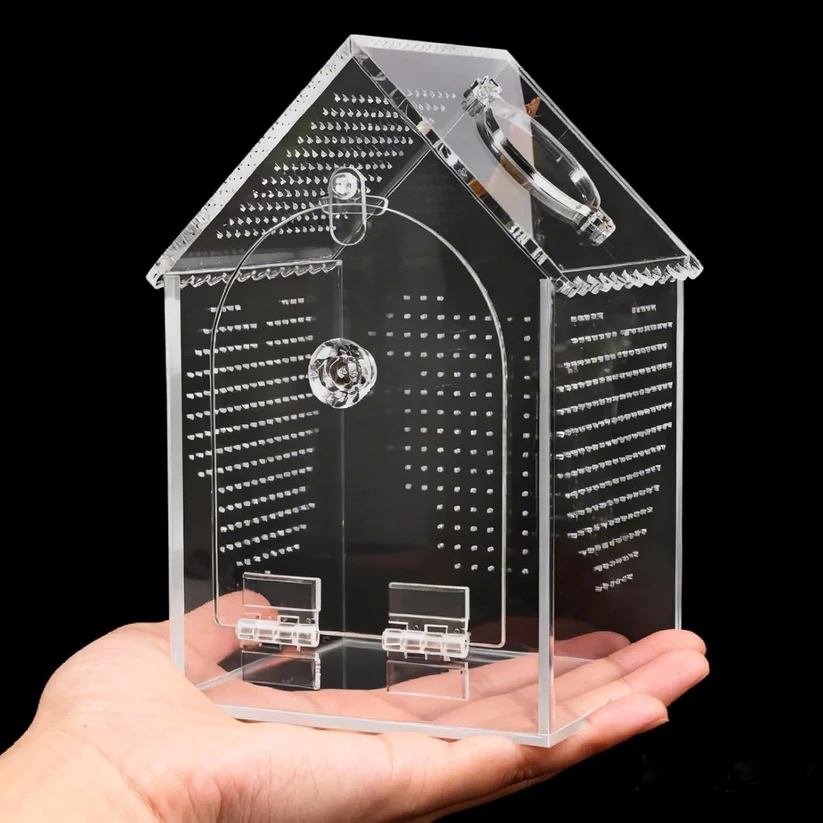Seamless acrylic jumping spider enclosure