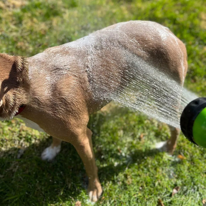 Garden Hose Spray Gun – Fastest Way to Bathe Your Dog