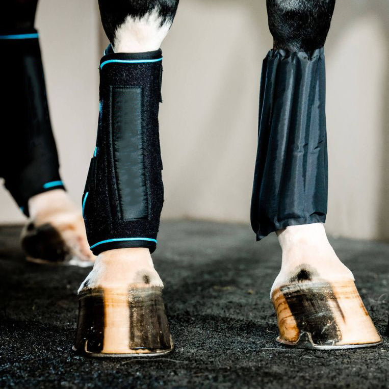 Equine Therapeutic Ice Leg Wraps – Massage & Cold Therapy Boots