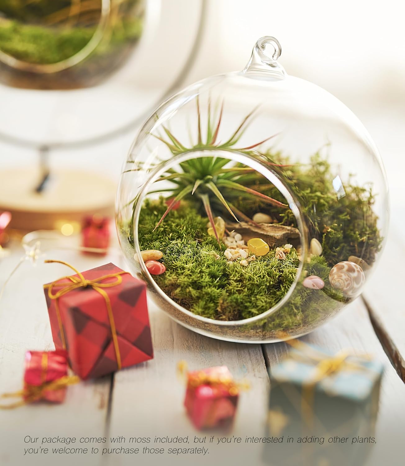 15-piece eco-bottle set, including live moss