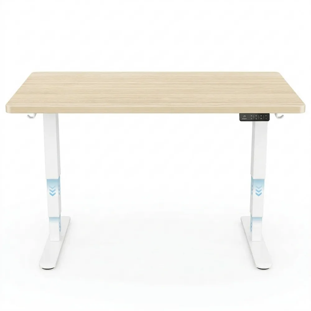 Elektrisch Höhenverstellbarer Schreibtisch mit Großer Tischplatte und 2-Motoren