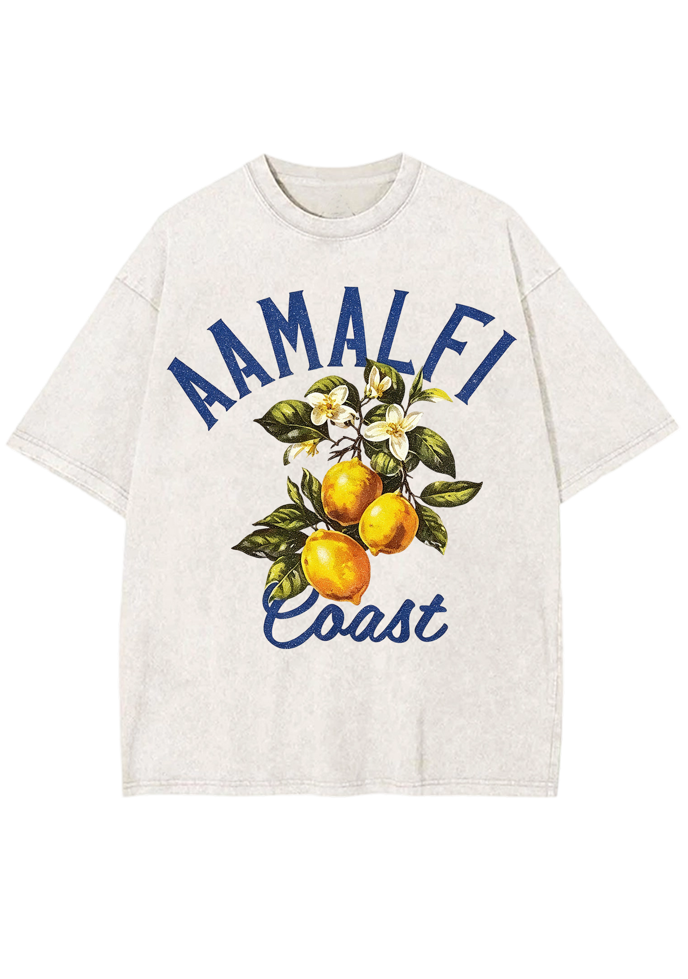 Amalfi Coast Vintage Lemon Branch Washed Tee