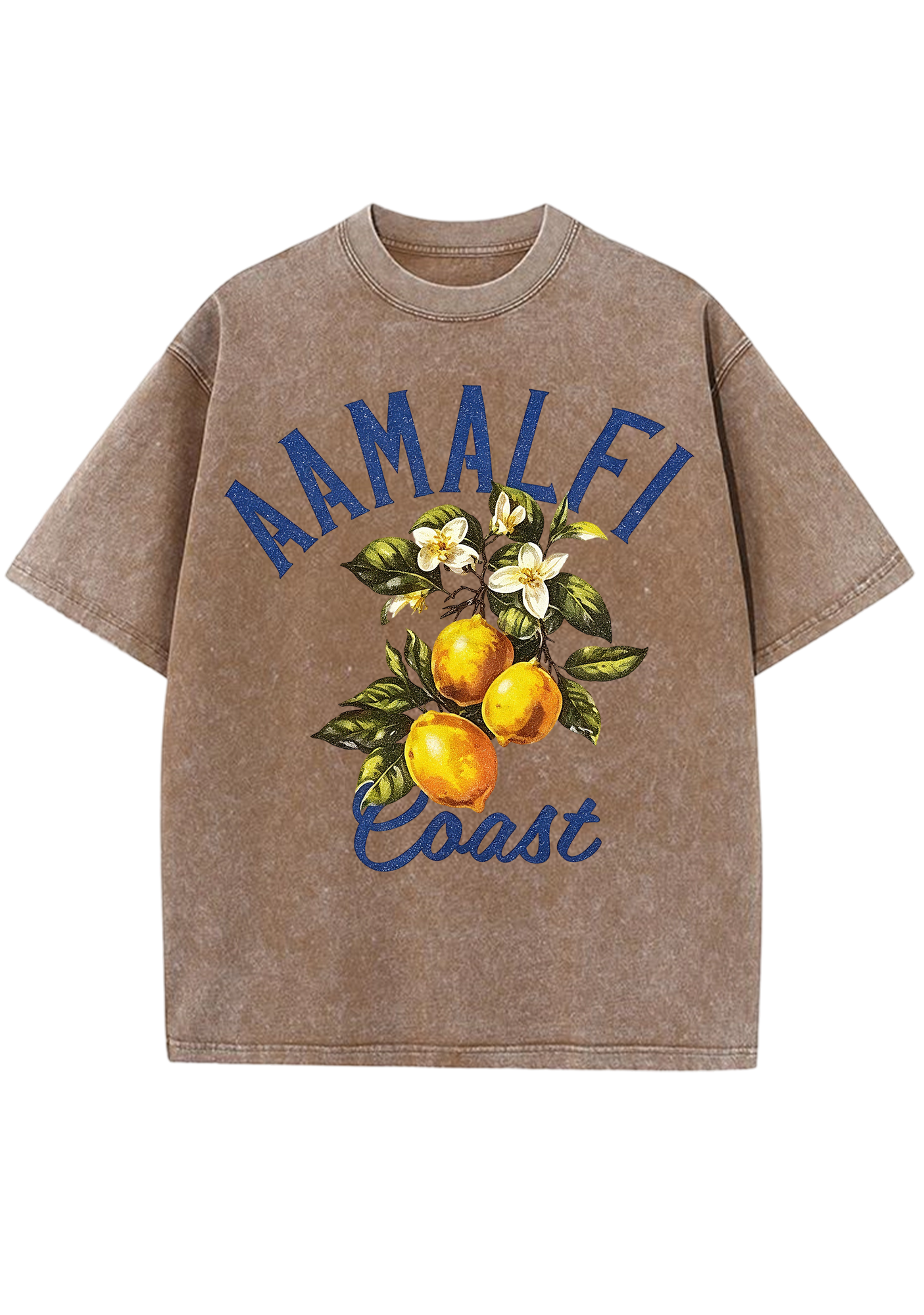 Amalfi Coast Vintage Lemon Branch Washed Tee