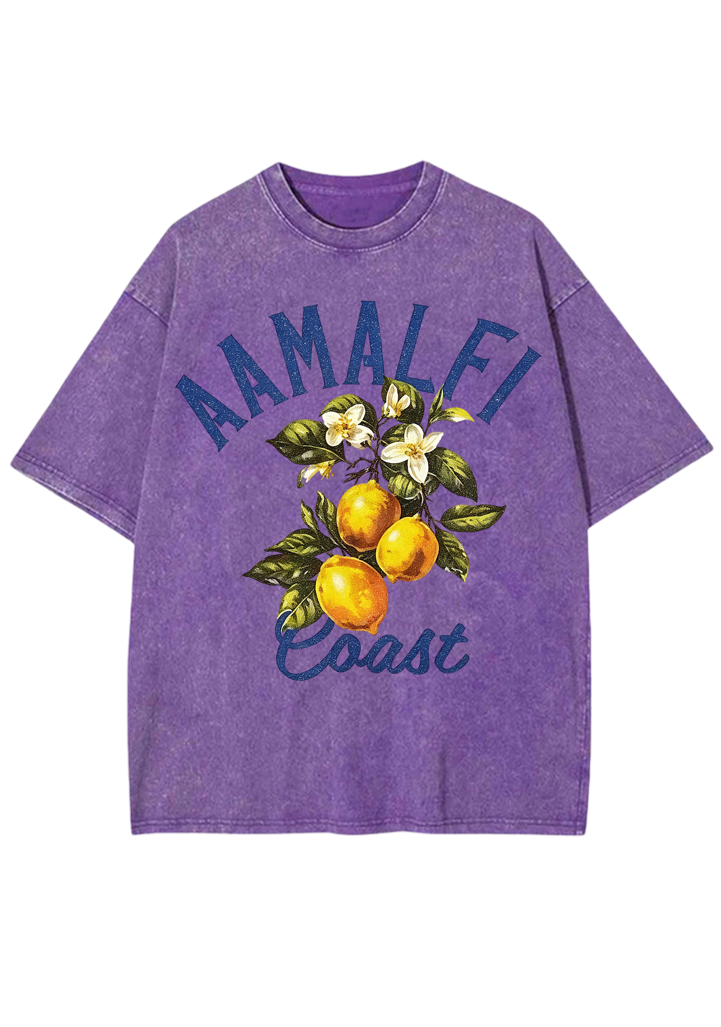 Amalfi Coast Vintage Lemon Branch Washed Tee