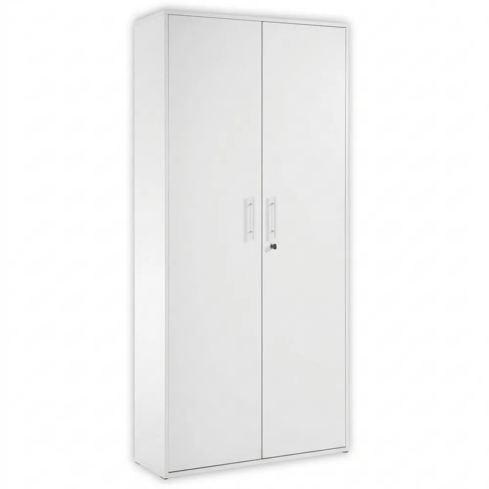 Abschließbarer Aktenschrank, lichtgrau, mit zwei Türen, modernes Design, 80 x 216 x 35 cm-Calmtran