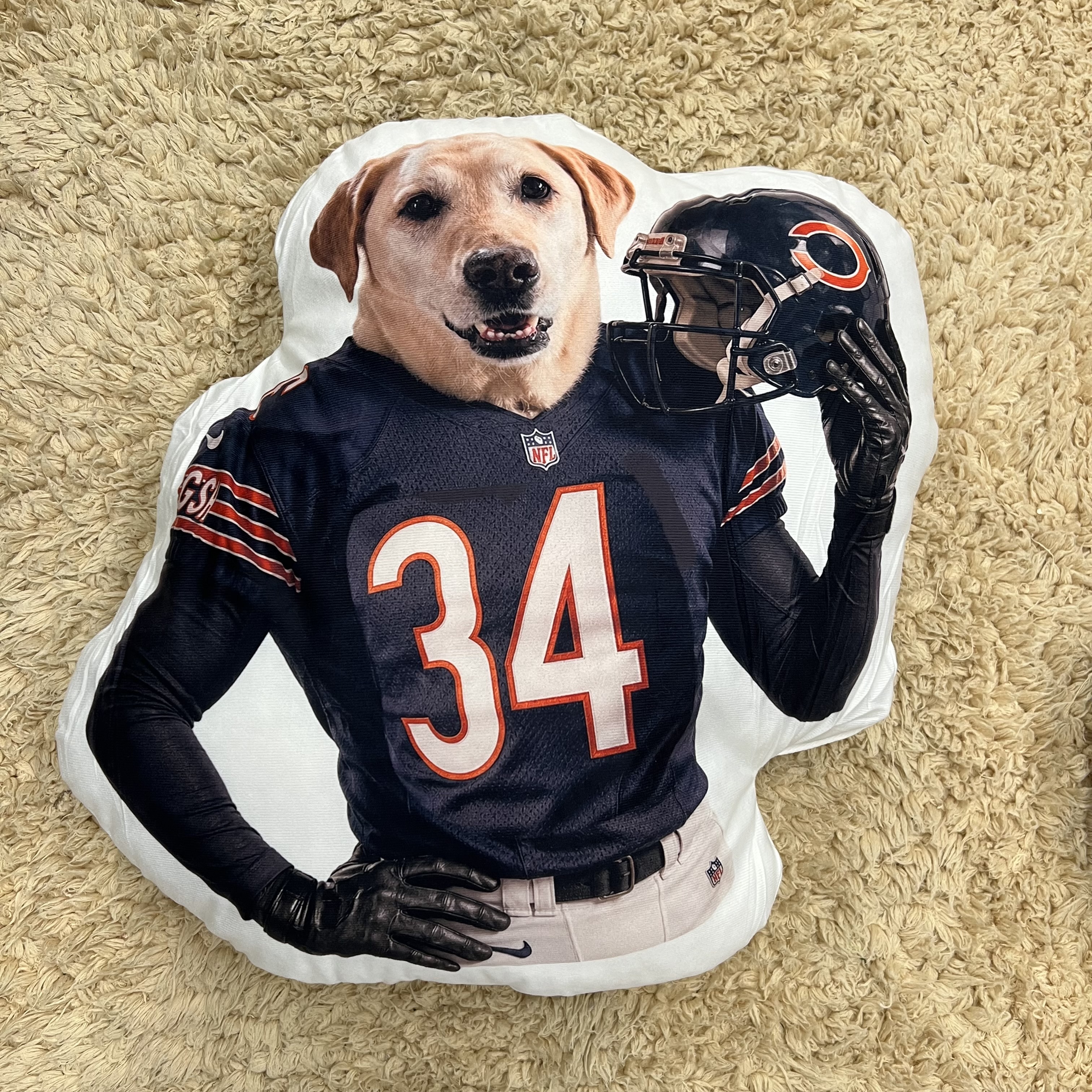 Custom Pet Football Player Shaped Pillow – Turn Your Pet into an MVP Mascot