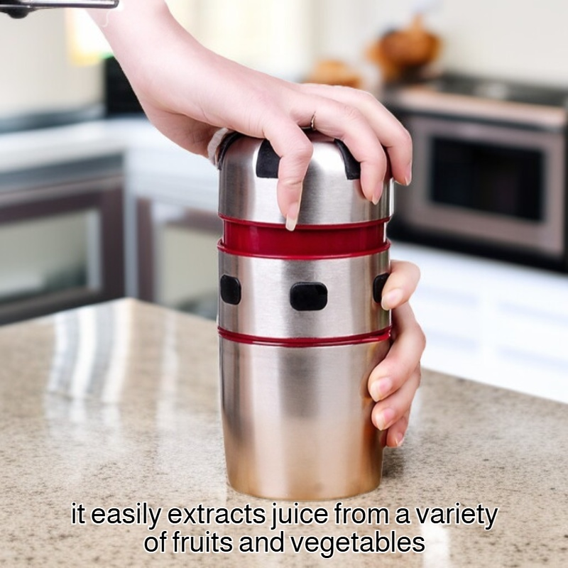 Household Multifunctional Juicer