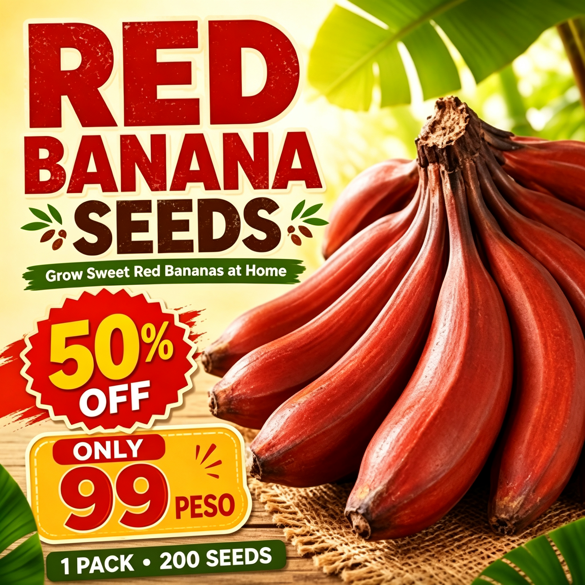 Prémiové semená banánov RED DACCA 🍌✨