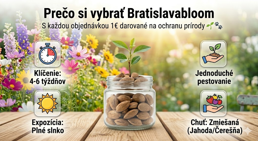 Obrovská čučoriedka: Veľkosť pingpongovej loptičky, ⭐Zmiešaná chuť jahôd a čerešní(20 tabliet/balenie)