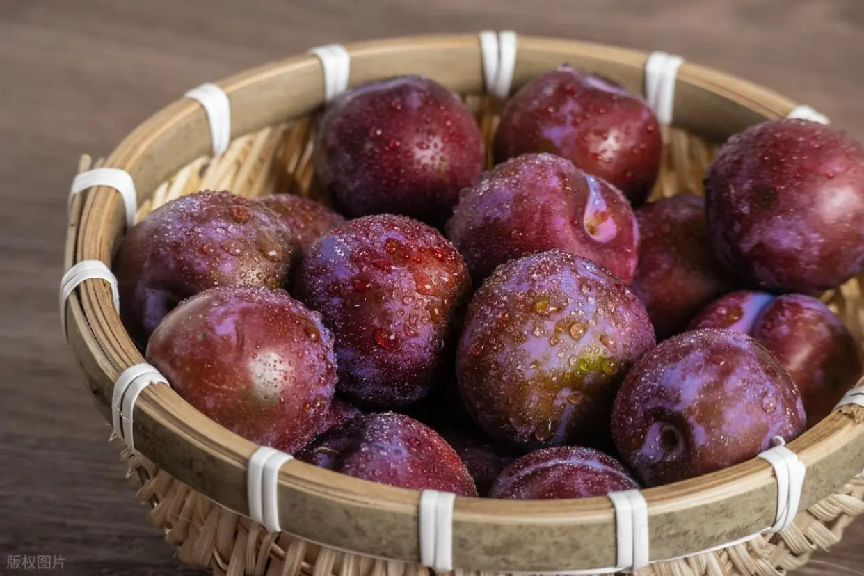 Slivka 🍑 – Sladké domáce ovocie z vlastnej záhrady