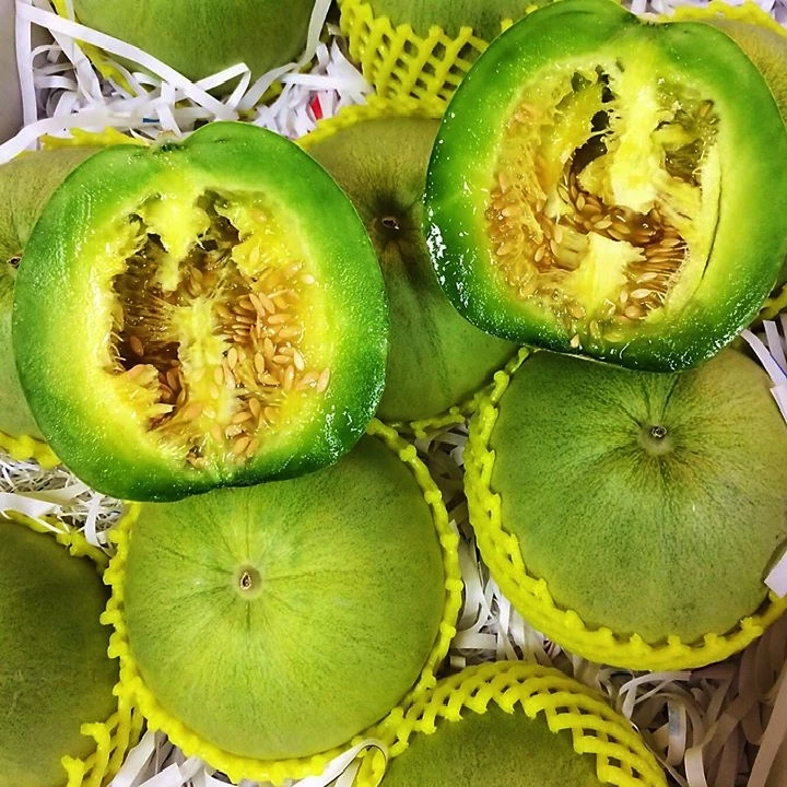 🍈 Semiá medového melónu – Vysoká klíčivosť, bohatá úroda ✅