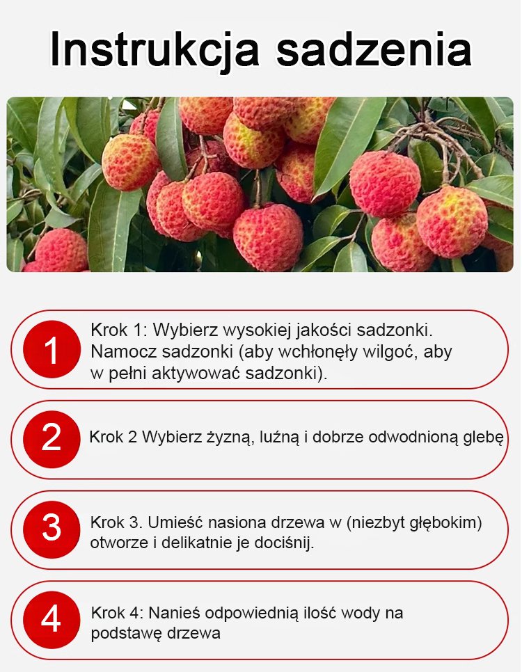 1_20.jpg