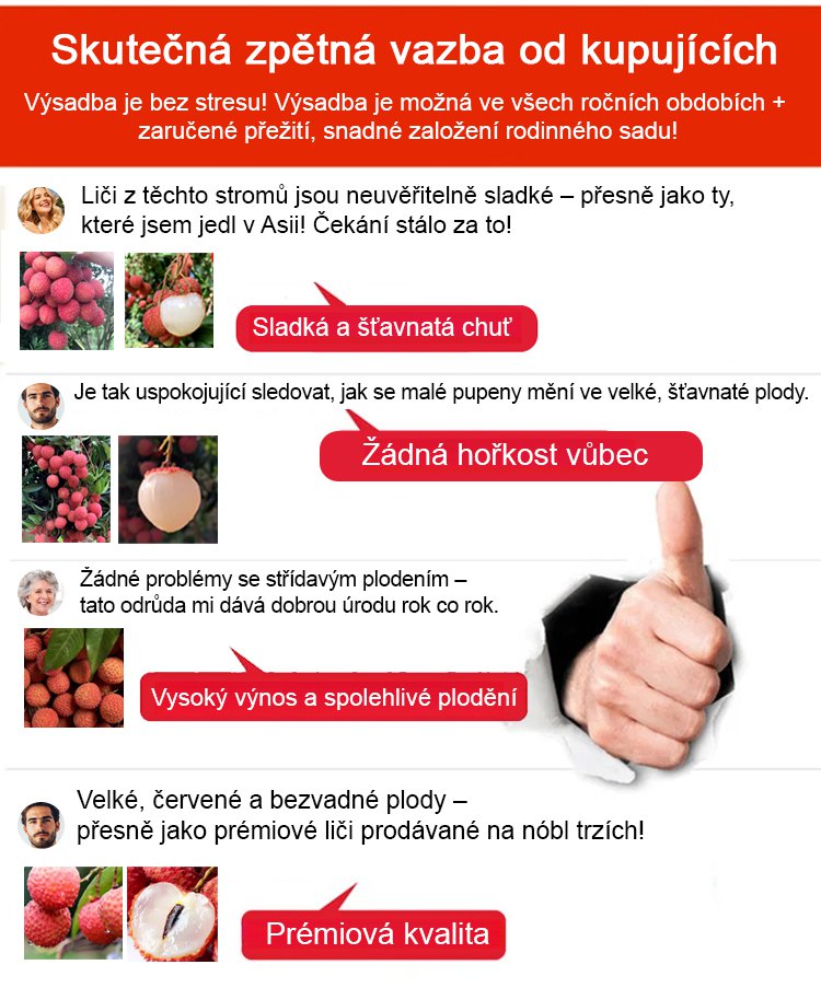 捷克_07.jpg