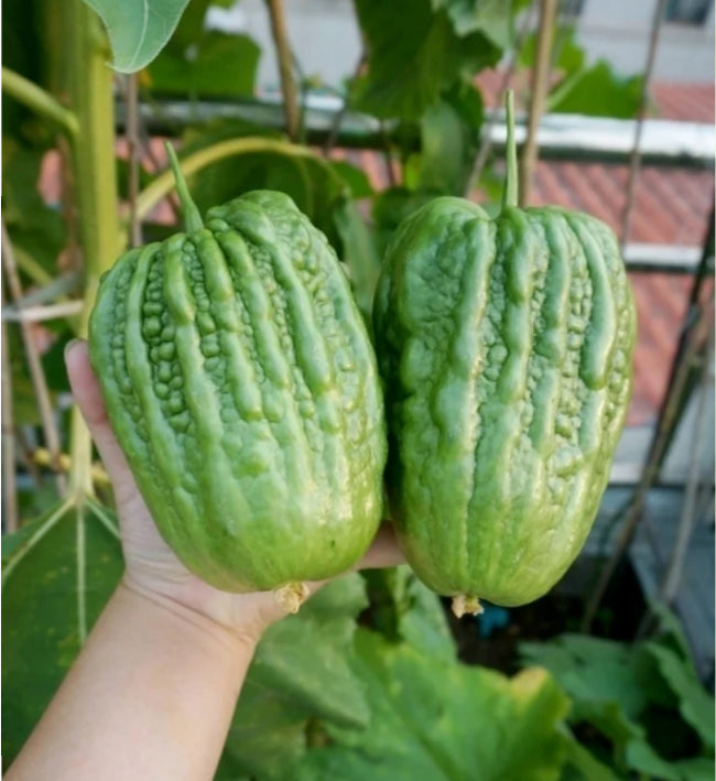 🌿Jablkový horký melón – Unikátna zmes ovocia a zeleniny!