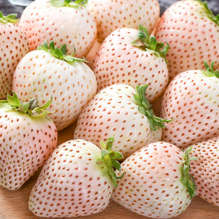 🍓 Semena obrovských krémových jahod 🍓 - Sladká pochúťka pre vašu záhradu! 😍