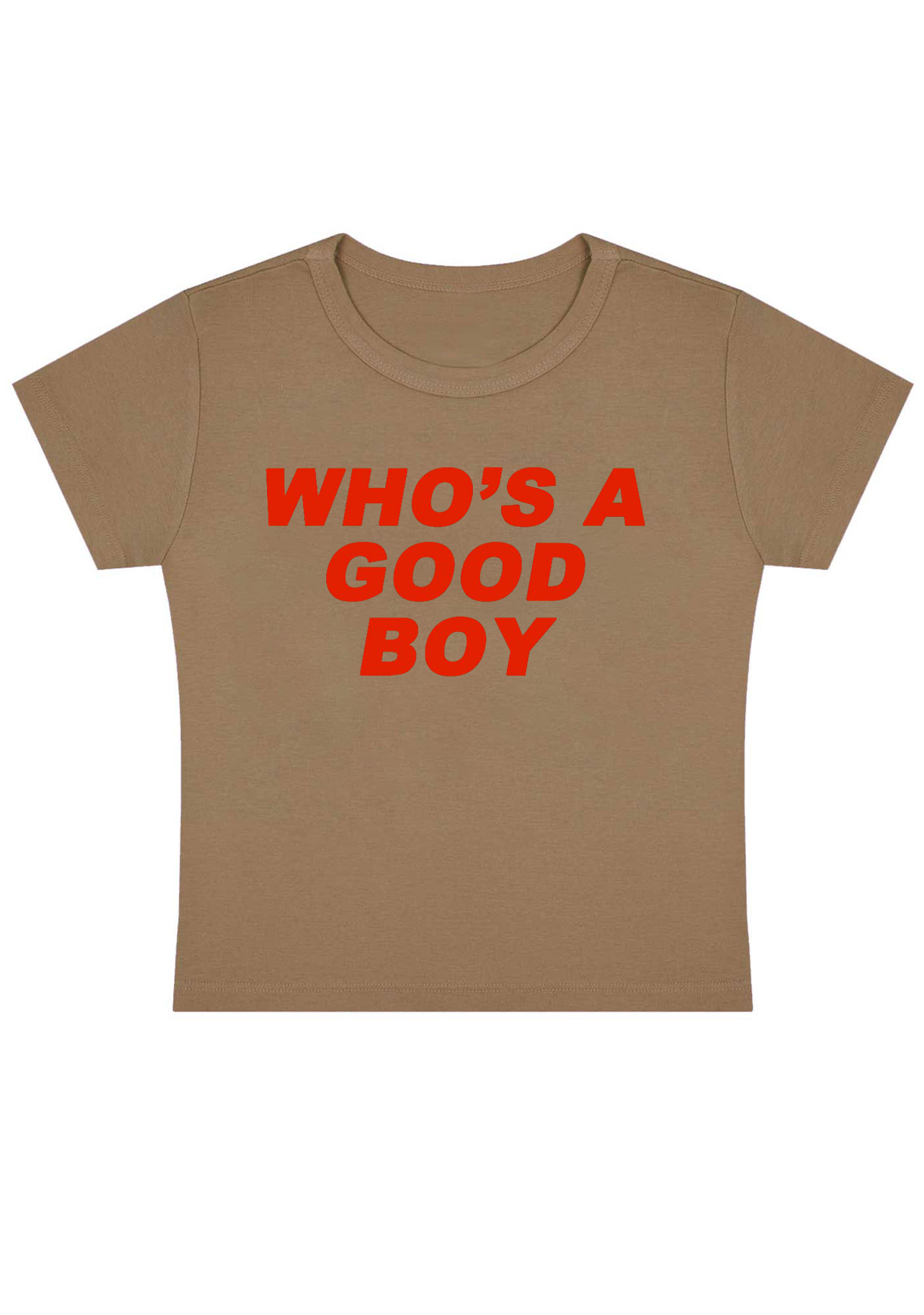Who's A Good Boy Y2K Baby Tee