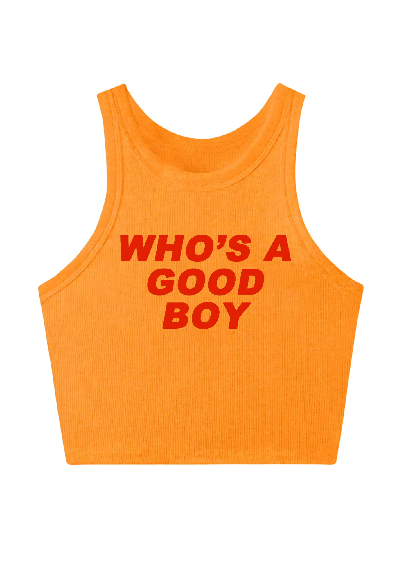 Who's A Good Boy Y2K Crop Tank Top