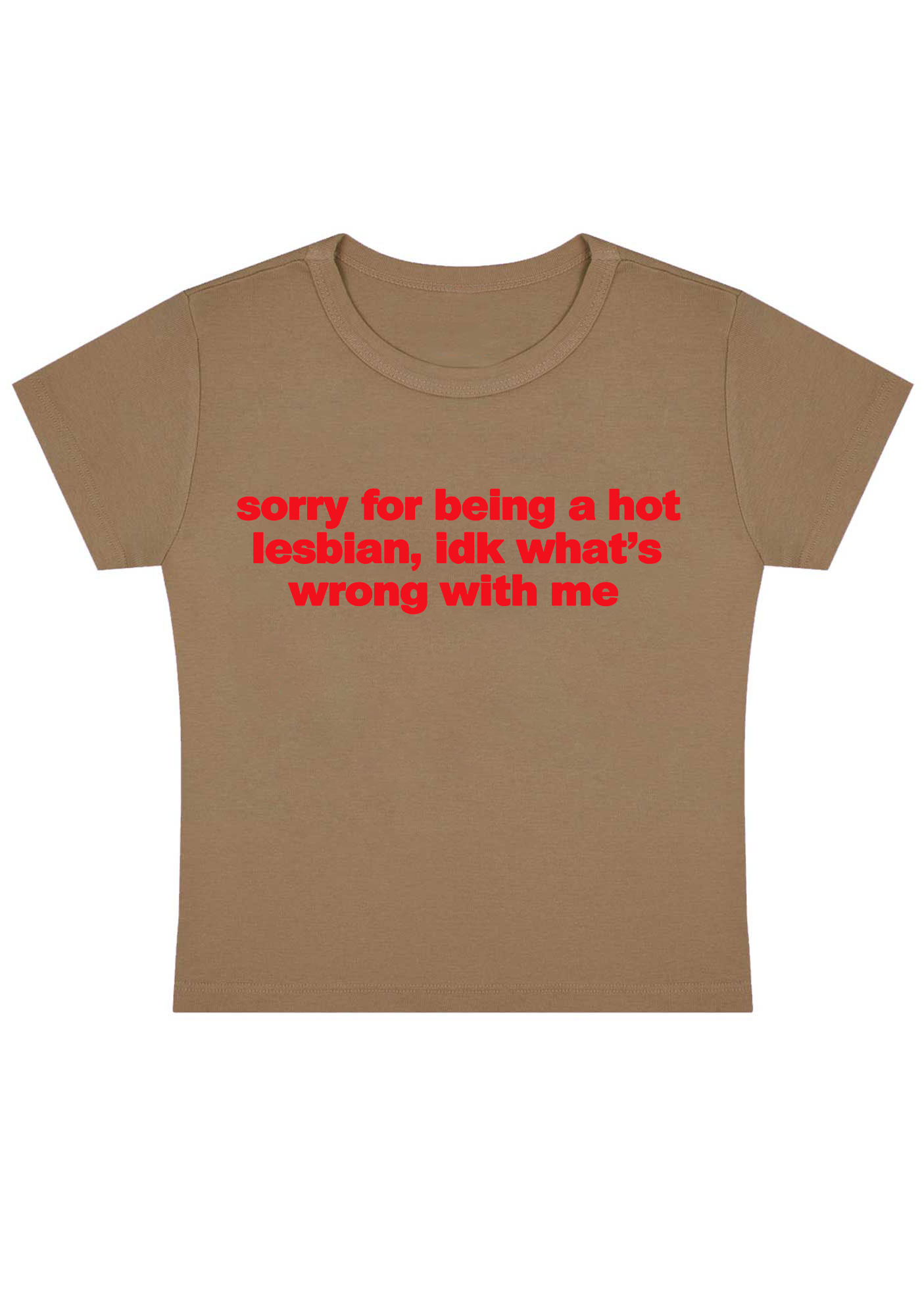 Sorry For Being A Hot Lesbian Y2K Baby Tee