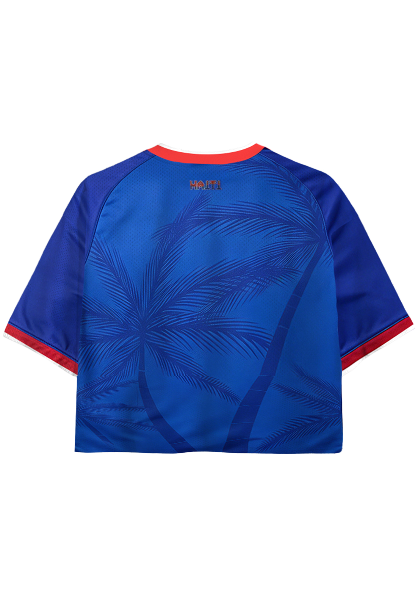  Haiti Historical Flag Graphic Cropped Mesh Jersey Shirt