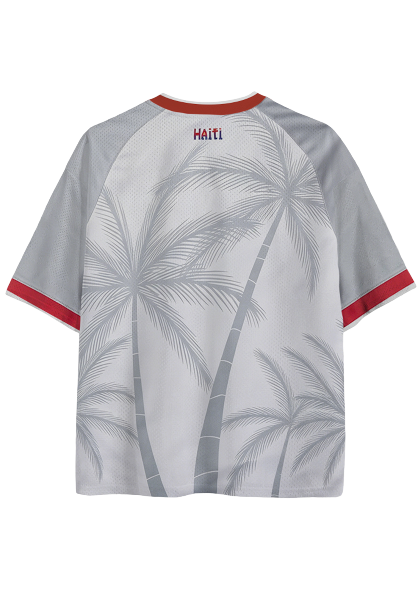 Classic Haiti Football Mesh Jersey Shirts