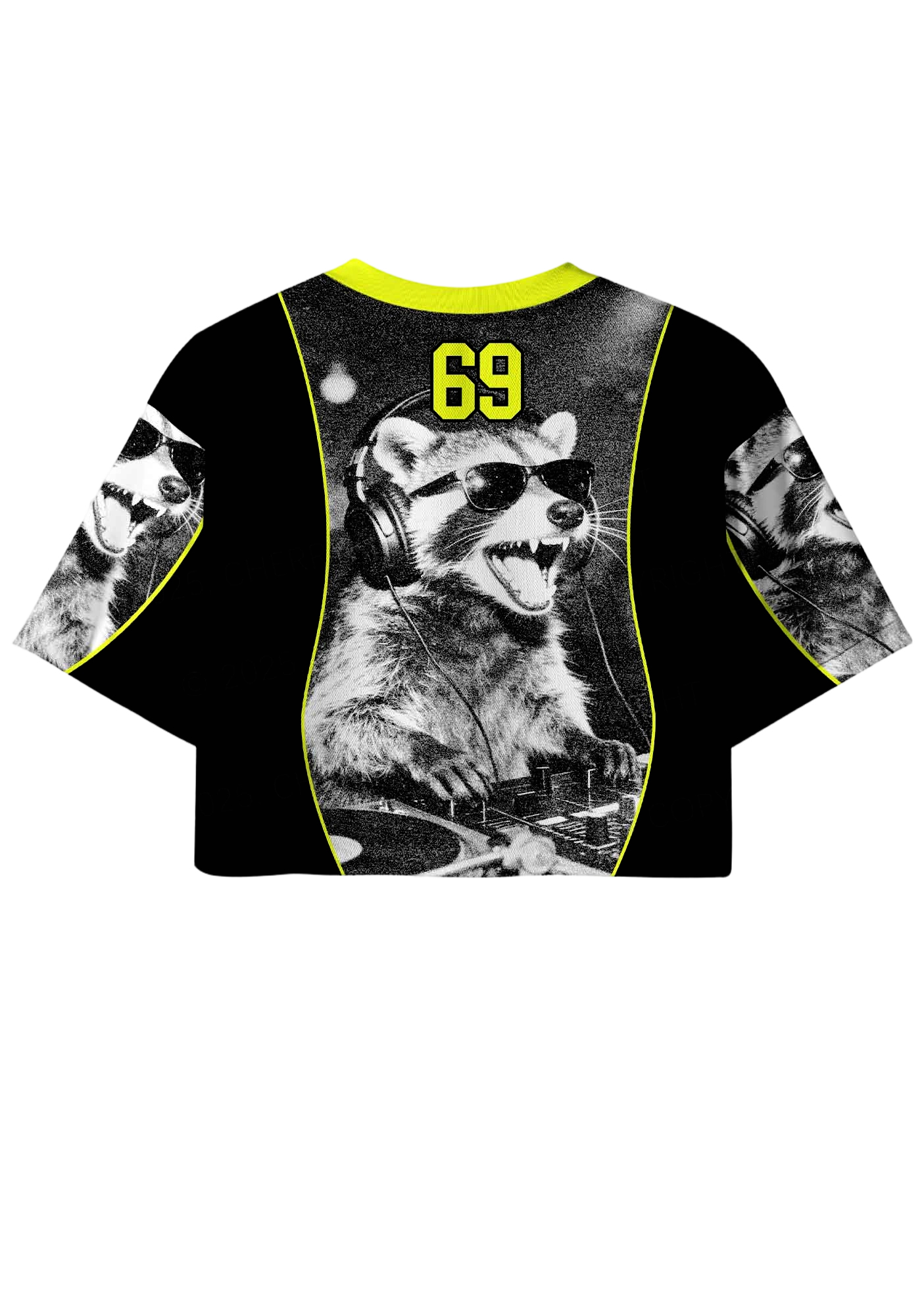 Music raccoon Y2K Crop Sport Jersey Shirts