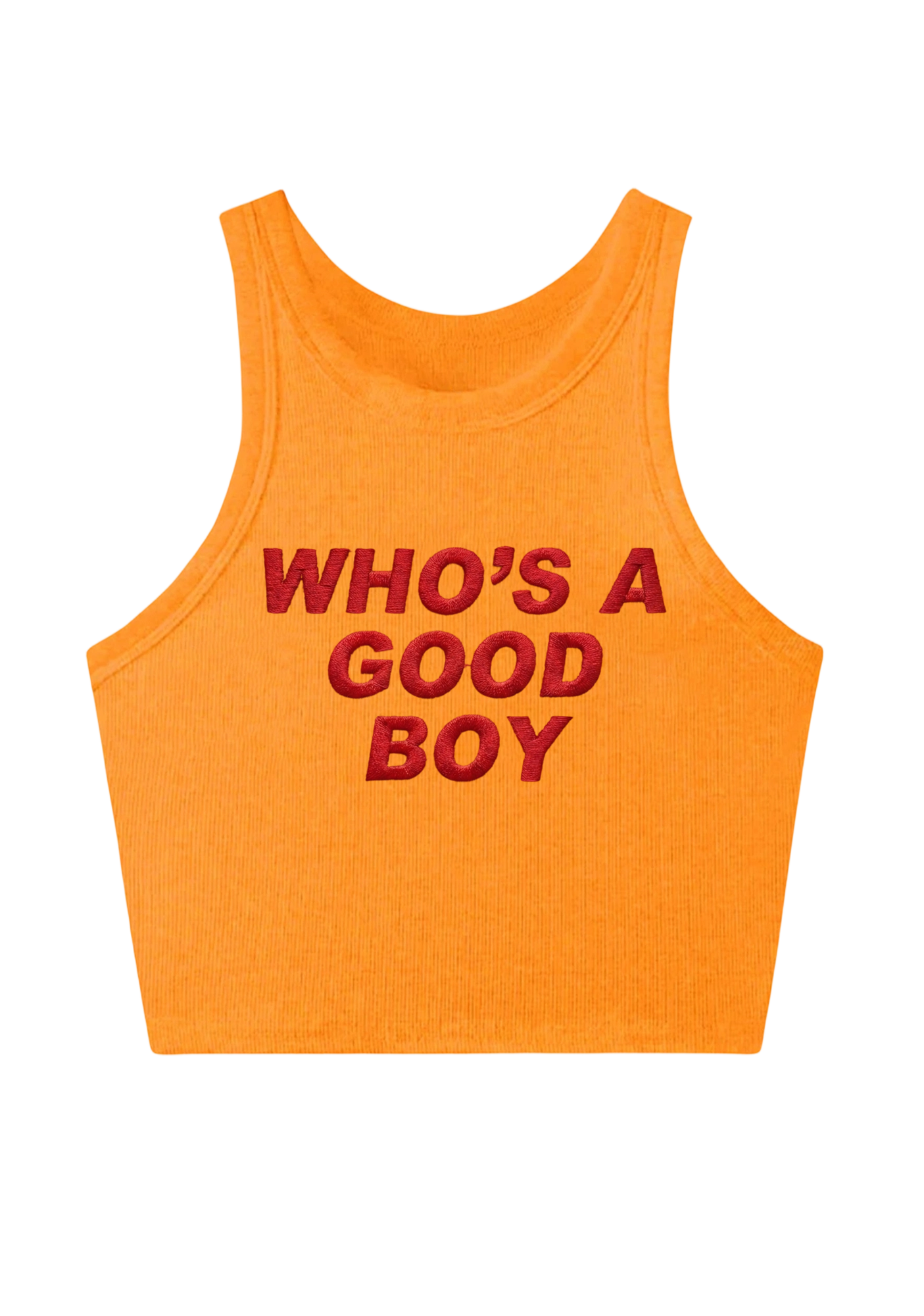 Who's A Good Boy Embroidery Y2K Crop Tank Top