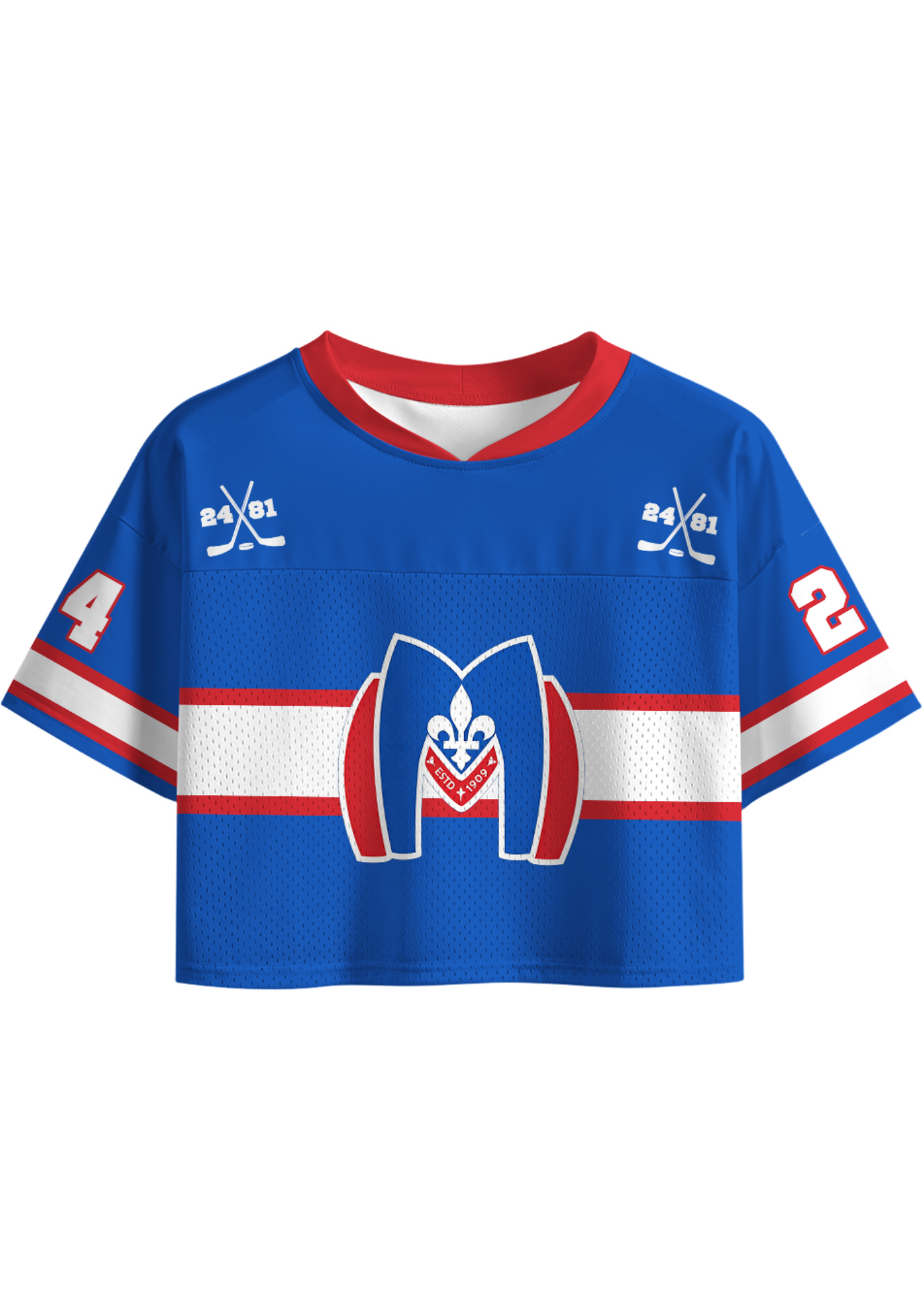 HOLLANDER Crop Sports Jersey