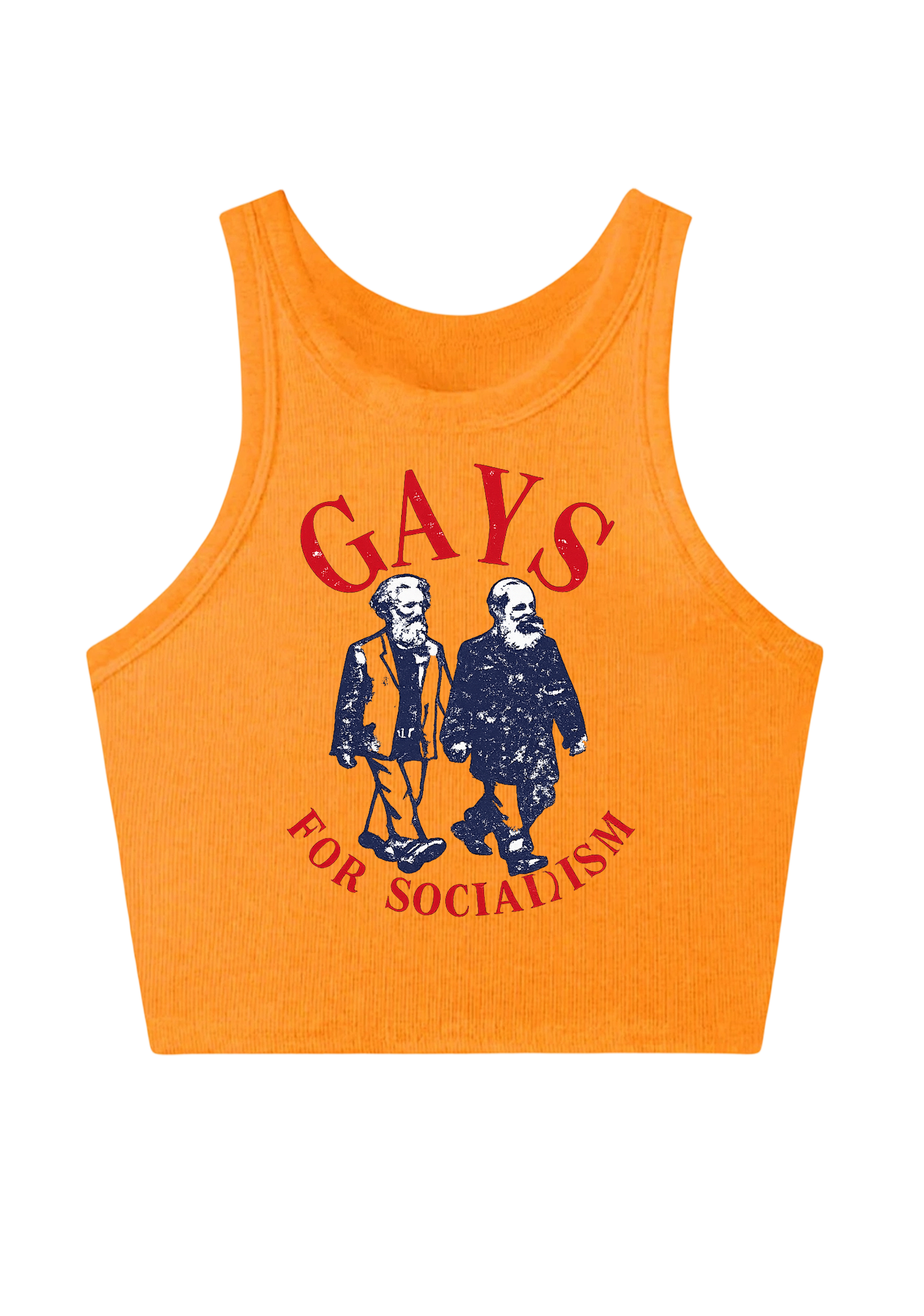 Gays For Socialism Y2K Crop Tank Top
