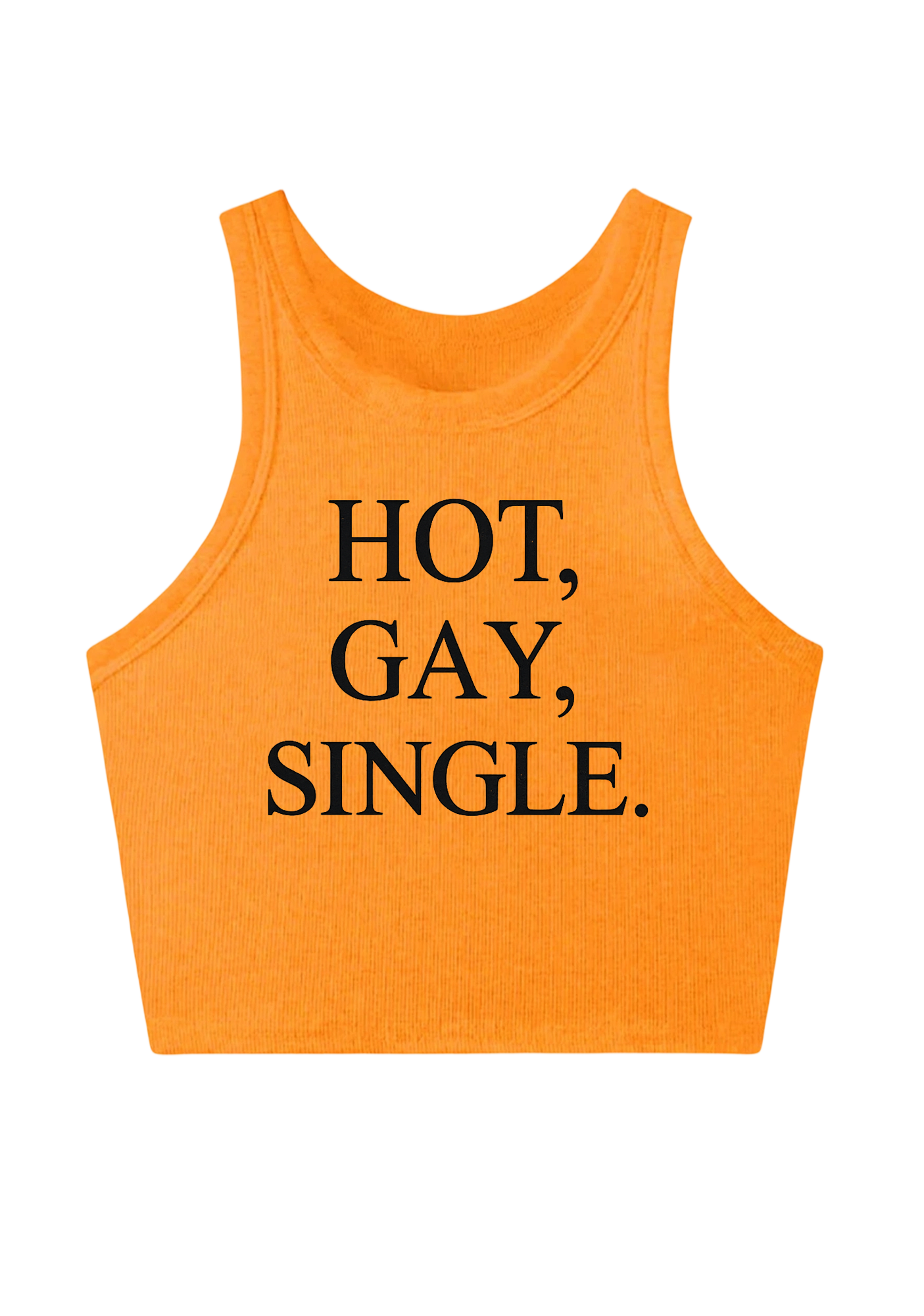 Hot Gay Single Y2K Crop Tank Top