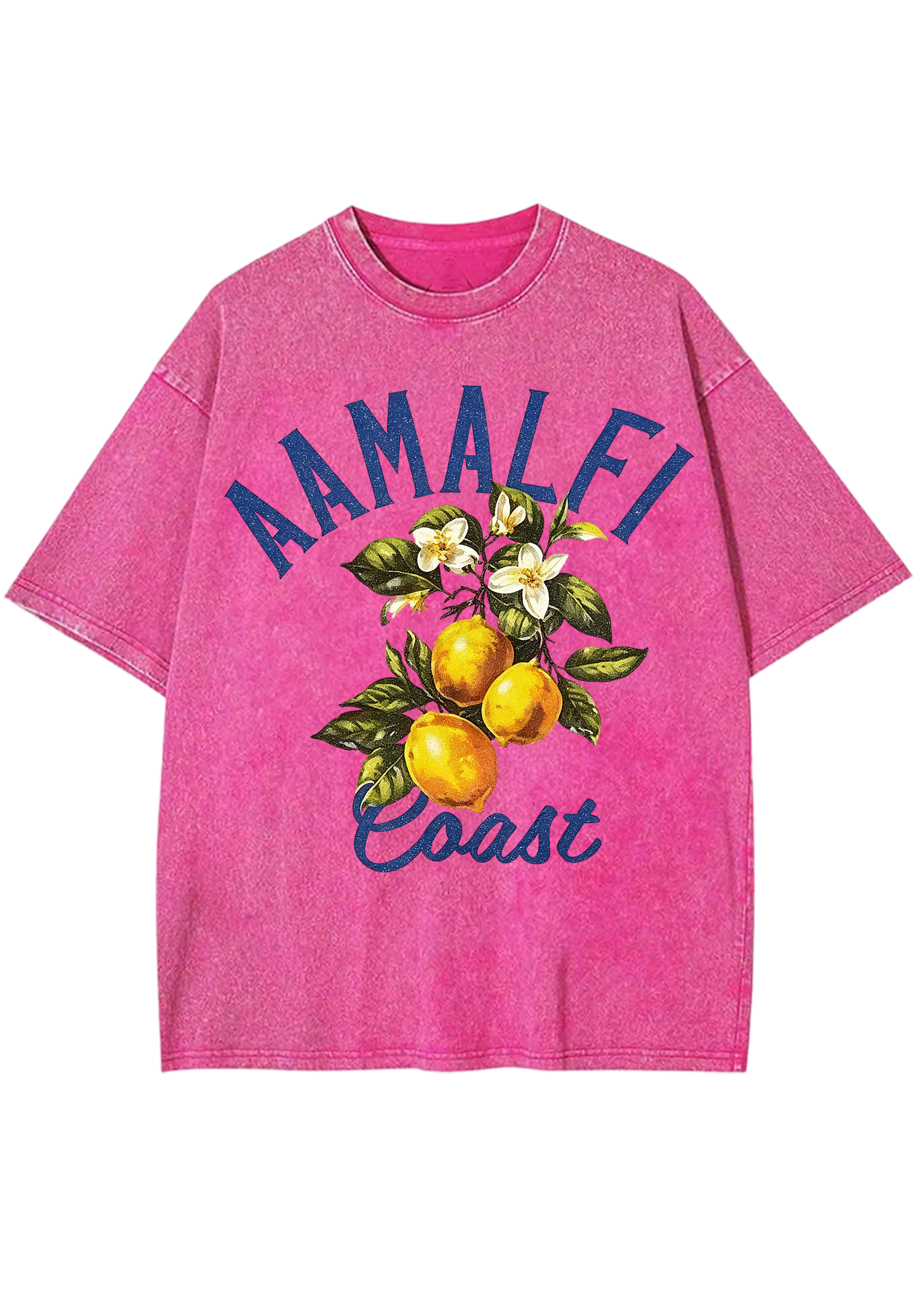 Amalfi Coast Vintage Lemon Branch Washed Tee