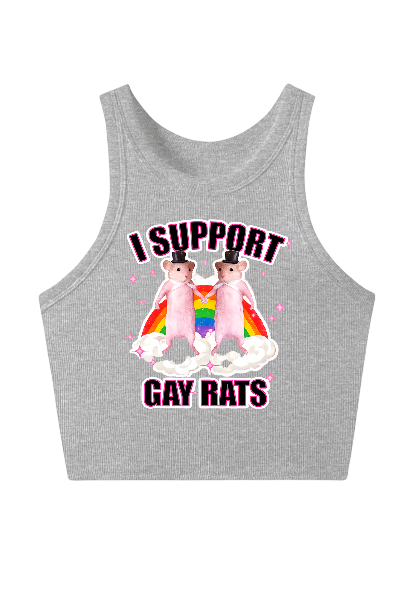 I Support Gay Rats Y2K Crop Tank Top