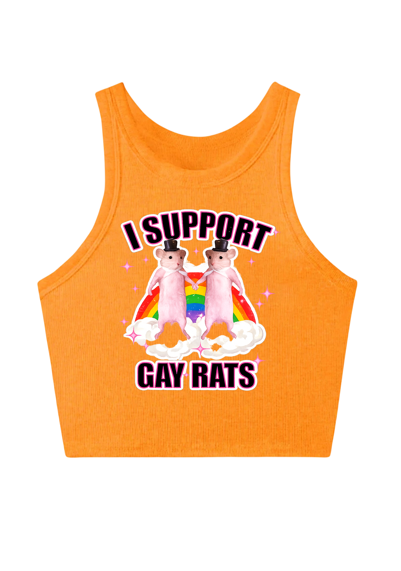 I Support Gay Rats Y2K Crop Tank Top