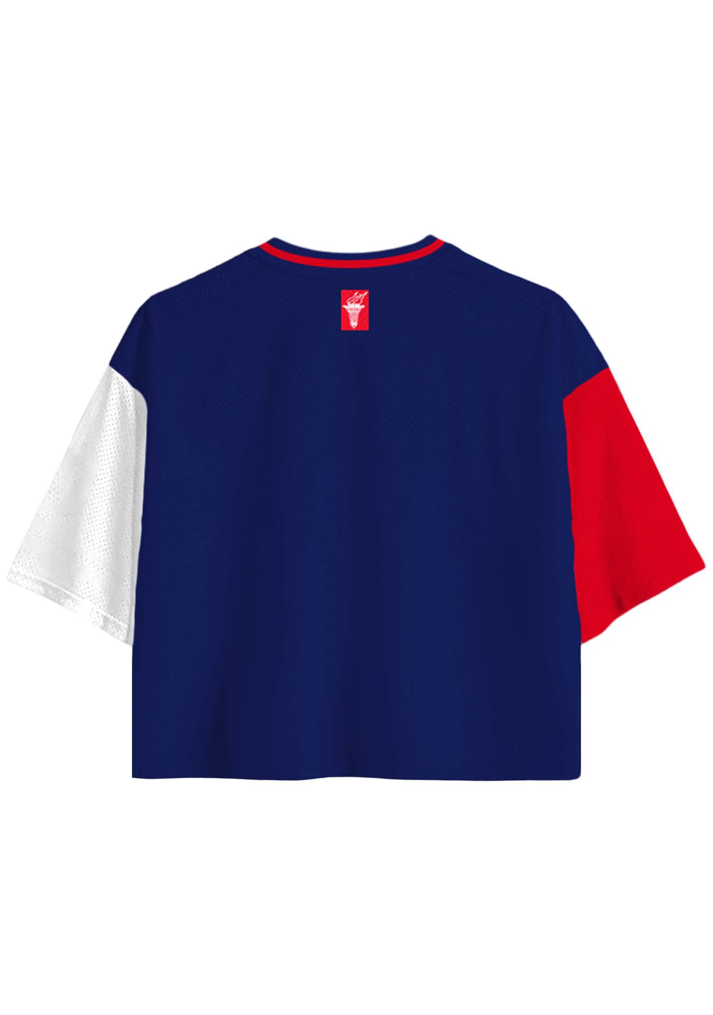 Red White Blue Split Panel Cropped Mesh Jersey Shirt