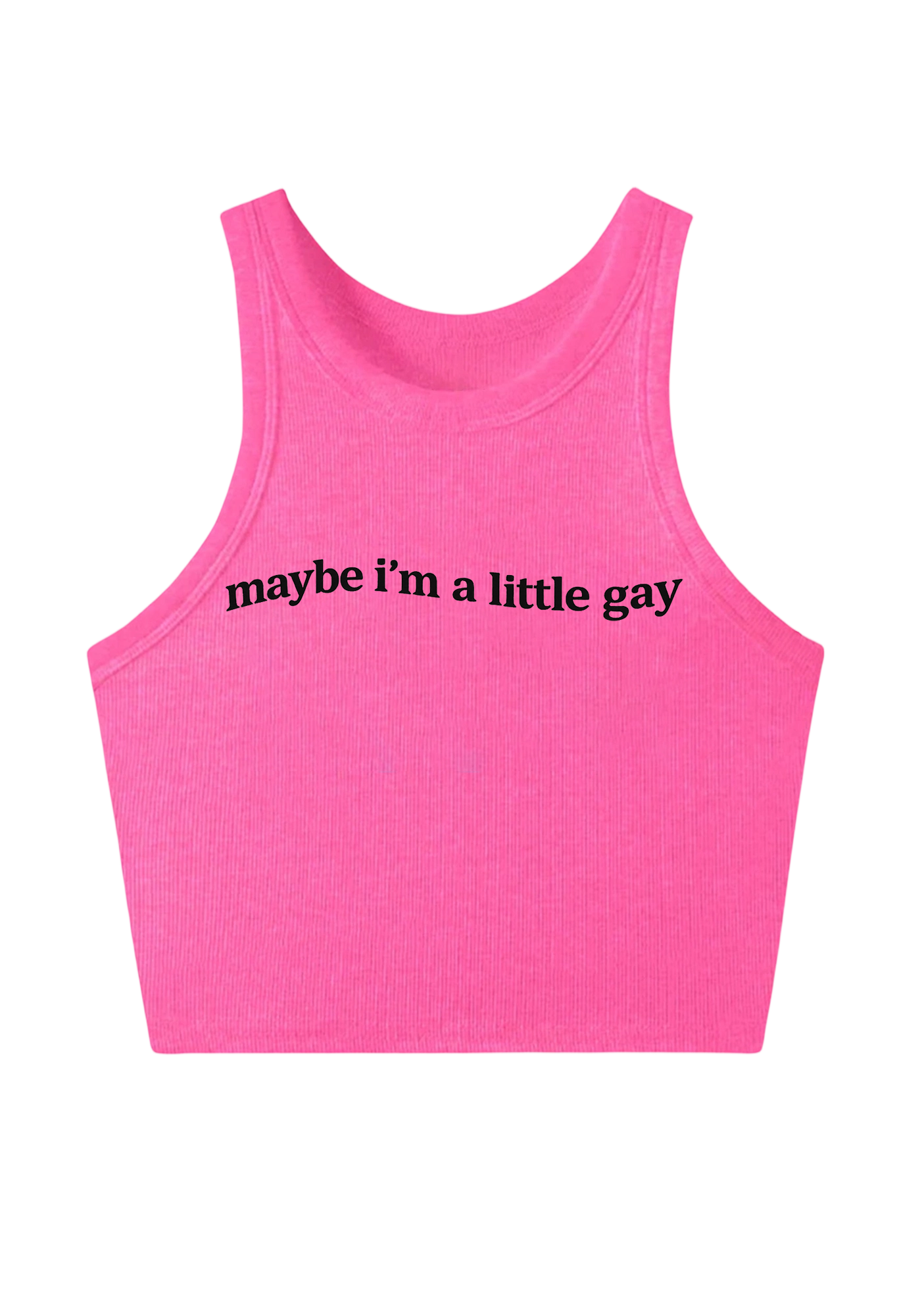 Maybe I'm A Little Gay Y2K Crop Tank Top