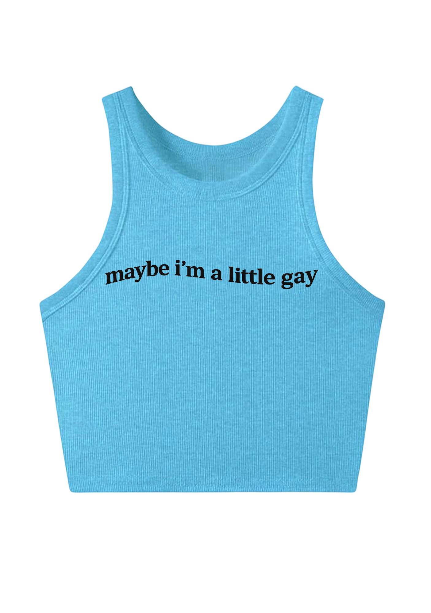 Maybe I'm A Little Gay Y2K Crop Tank Top