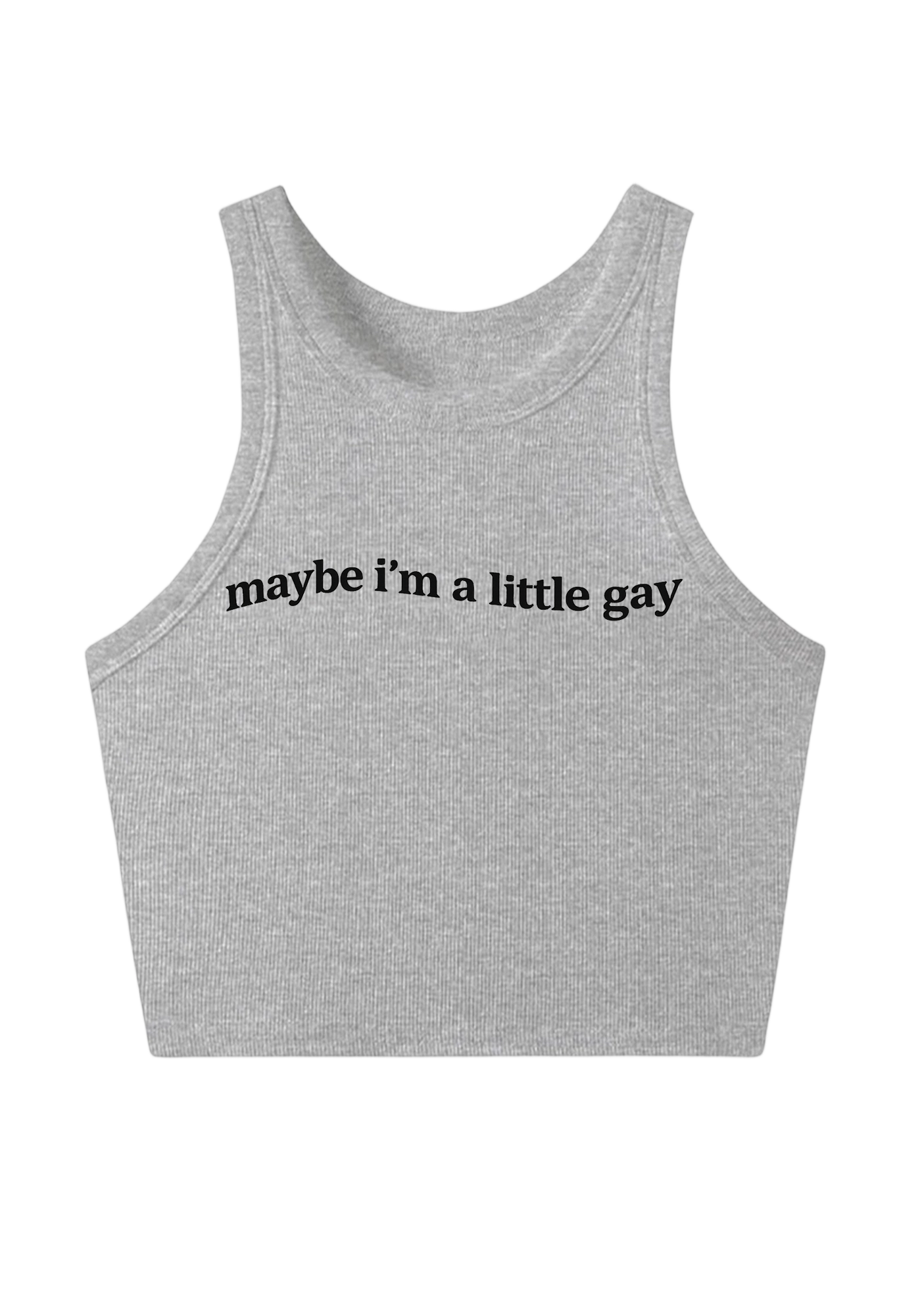 Maybe I'm A Little Gay Y2K Crop Tank Top