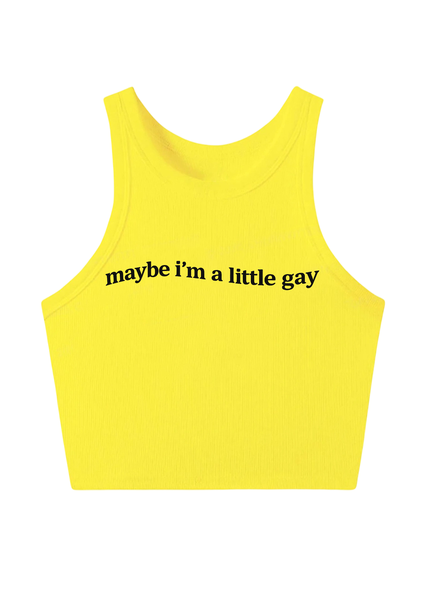 Maybe I'm A Little Gay Y2K Crop Tank Top