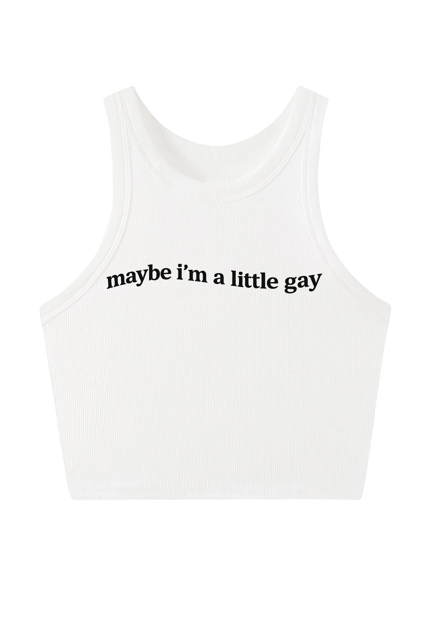 Maybe I'm A Little Gay Y2K Crop Tank Top