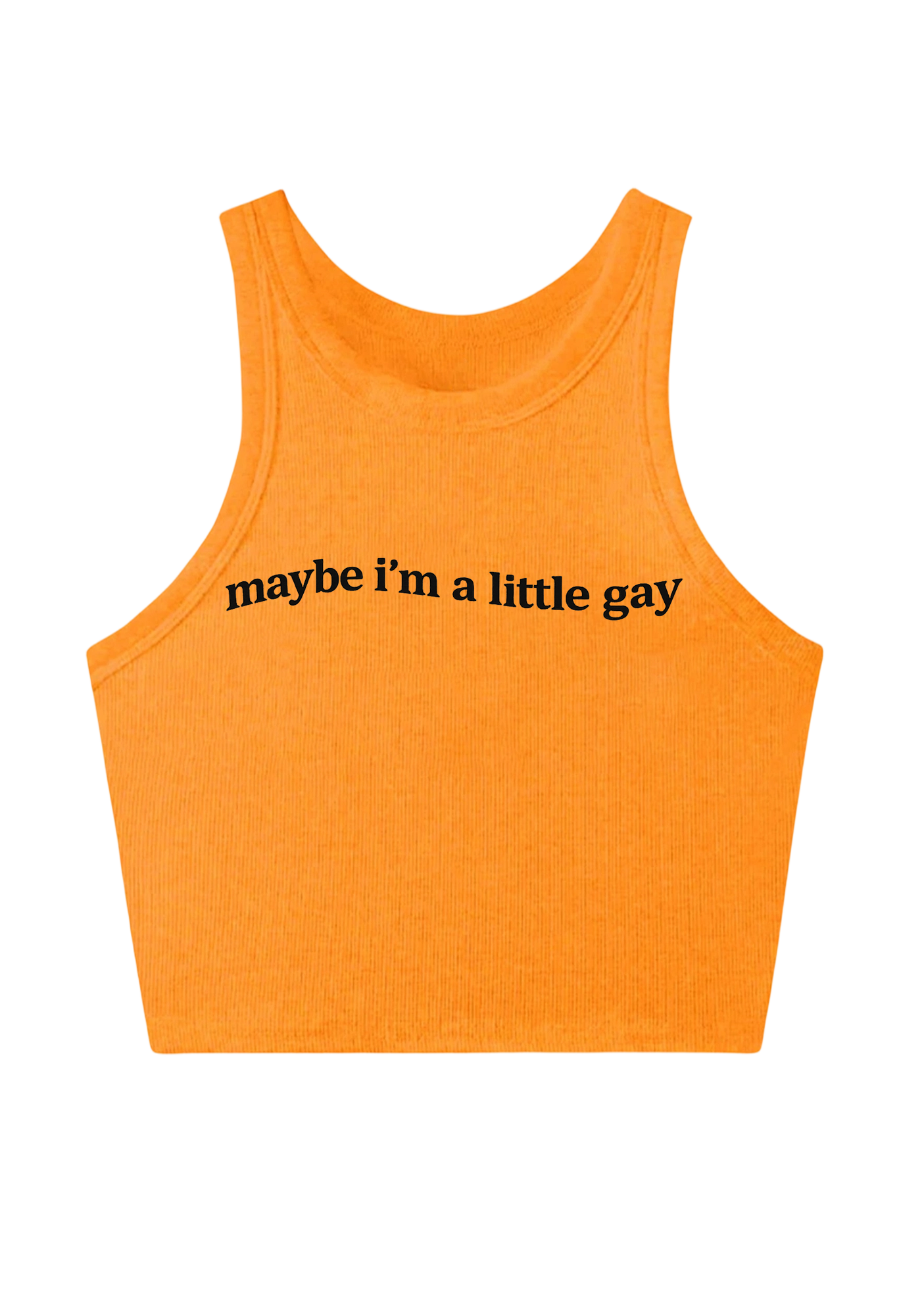 Maybe I'm A Little Gay Y2K Crop Tank Top