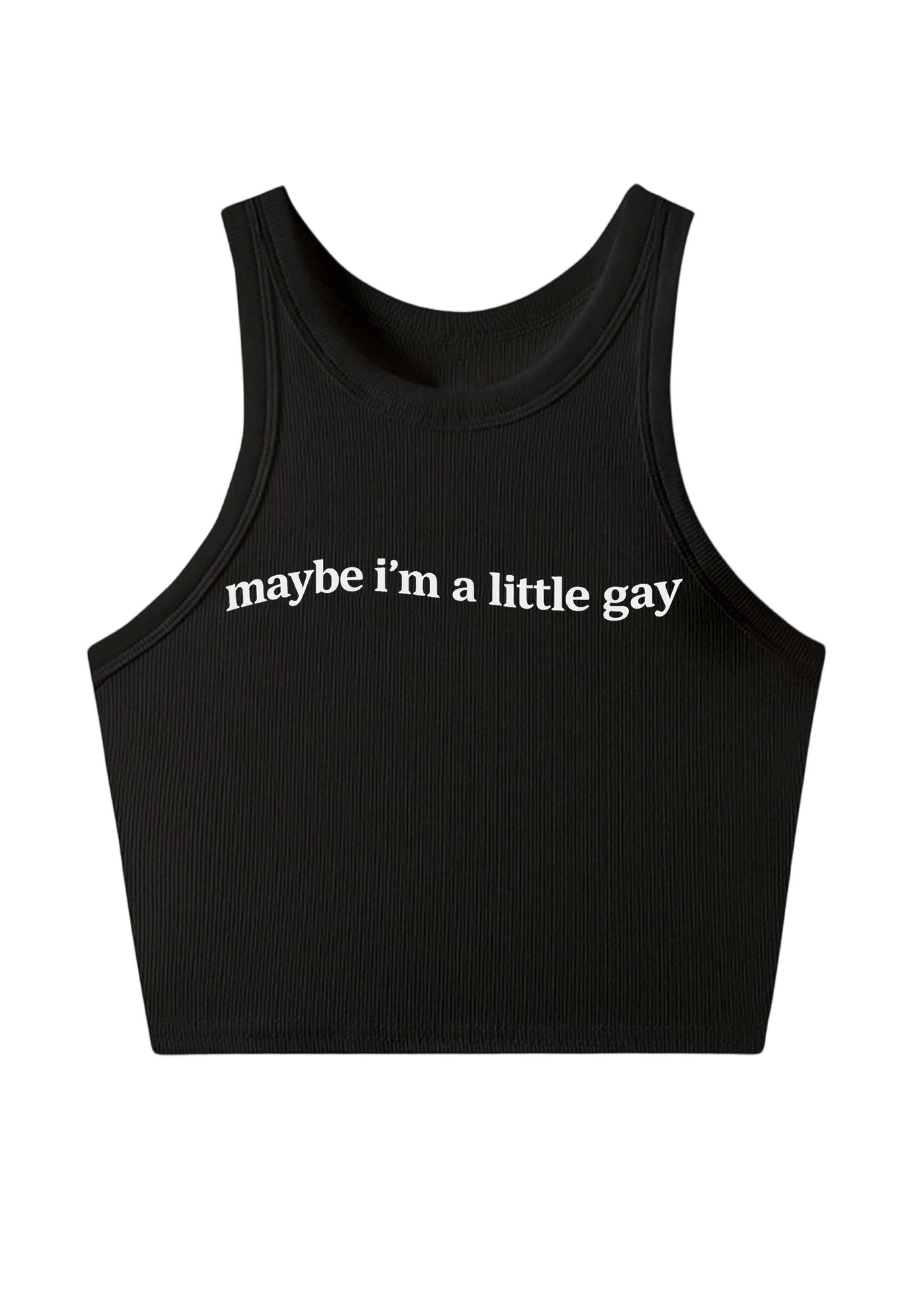 Maybe I'm A Little Gay Y2K Crop Tank Top