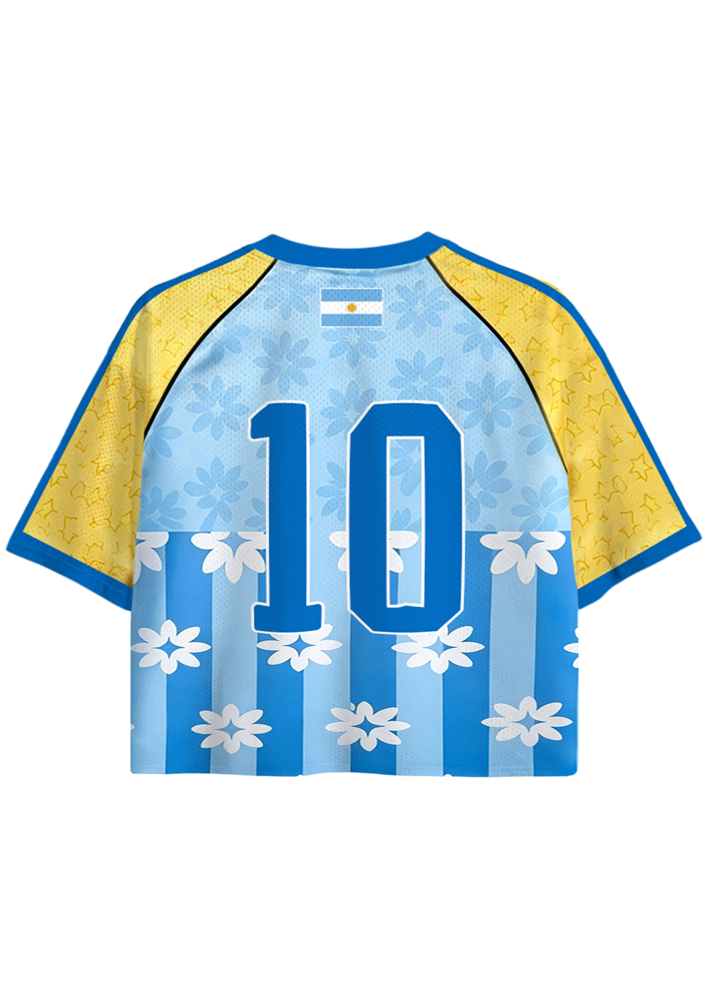 Argentina Floral Stripe Star Print Cropped Jersey Shirt
