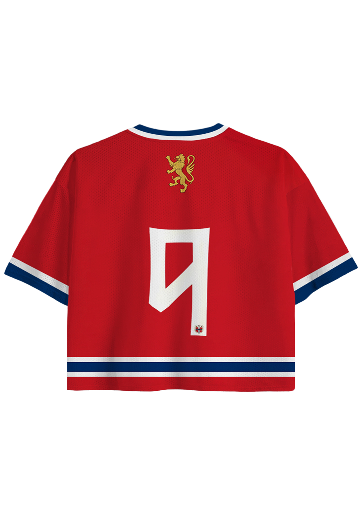 Norway Country Cropped Mesh Jersey Shirt
