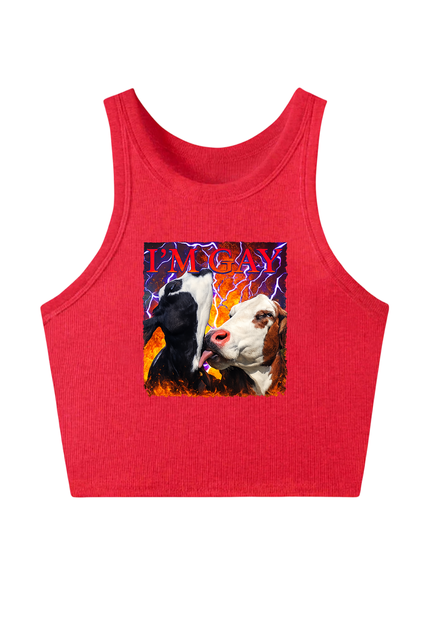 I'm Gay Y2K Crop Tank Top