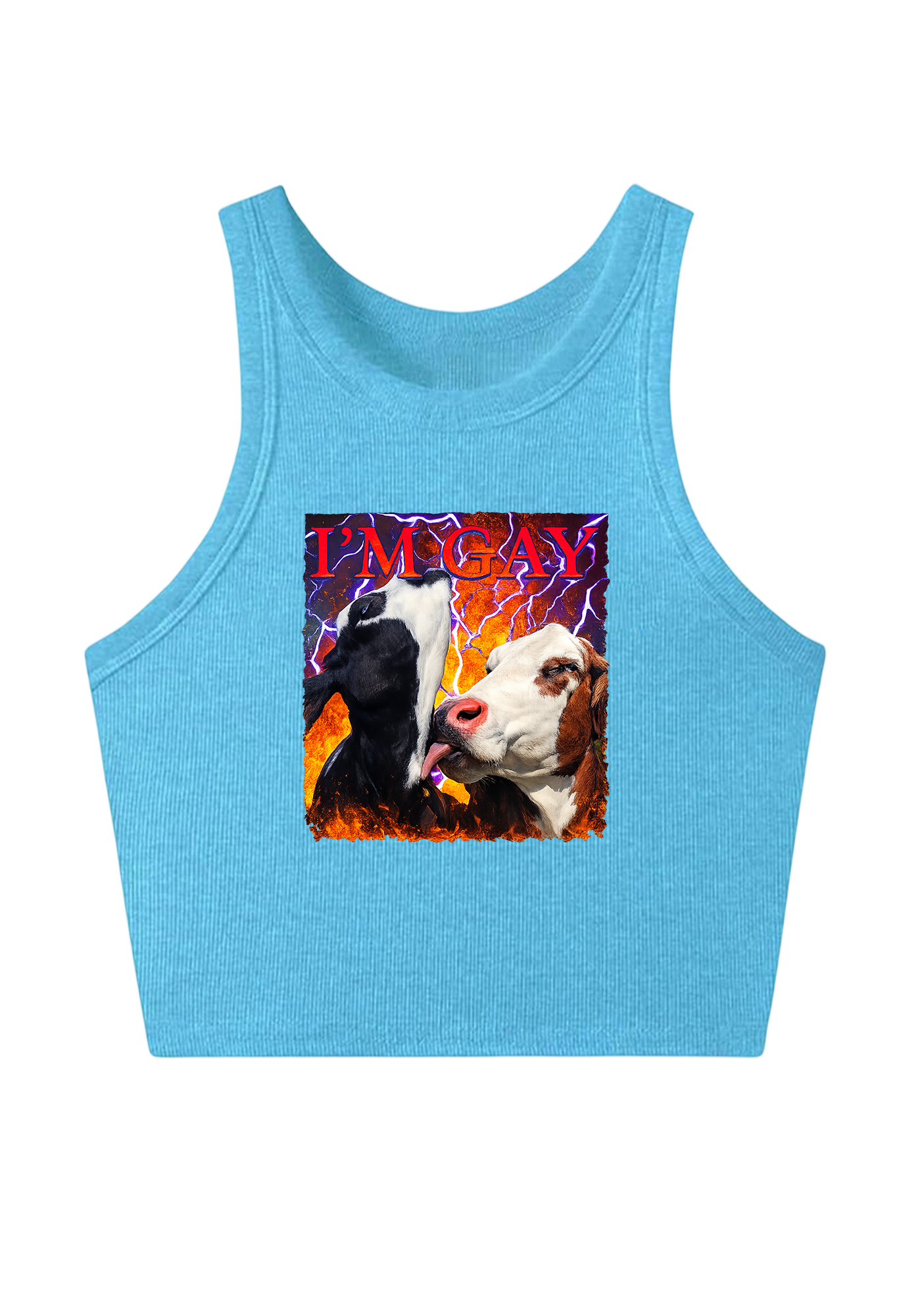 I'm Gay Y2K Crop Tank Top