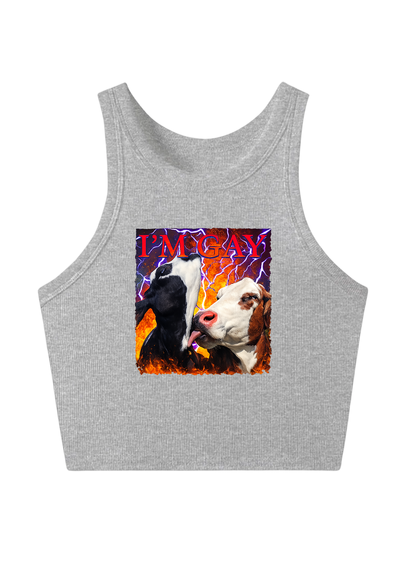 I'm Gay Y2K Crop Tank Top
